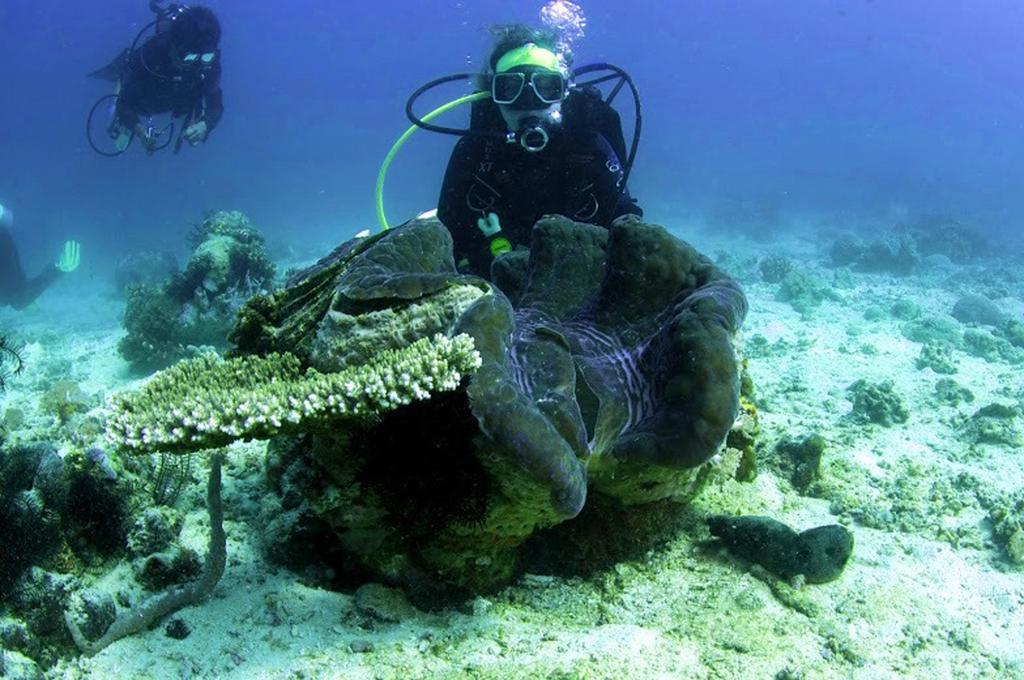 Marco Vincent Dive Resort Puerto Galera Buitenkant foto